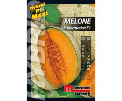 Melone è una pianta vigorosa dai frutti ovali con rete fitts