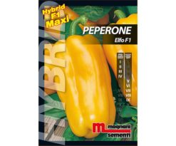 Peperone è una pianta vigorosa e robusta che offre buona copertura all`abbondante produzione.