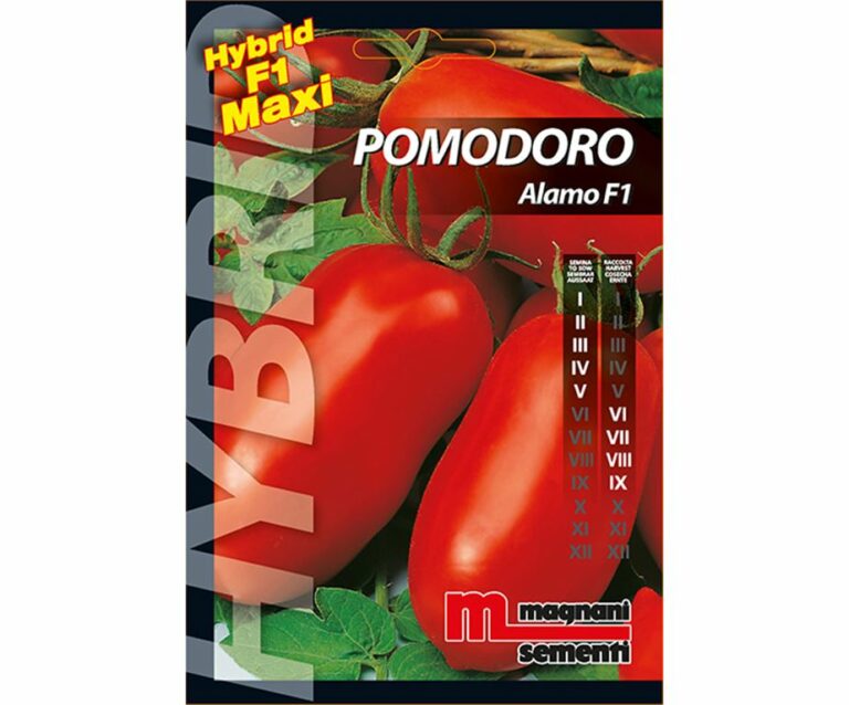 Pomodoro Alamo è una pianta vigorosa a frutto singolo di tipo san marzano
