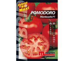 Pomodoro Montecarlo è una pianta vigorosa a frutto singolo di tipo tondo liscio