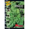 Spinacio Siena è una pianta dalle foglie bollose di colore verde medio.