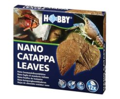 Nano foglie di mandorlo indiano - Dalla natura per la natura!