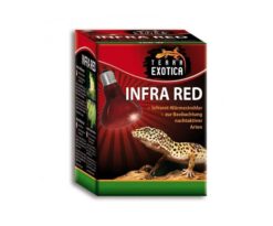 Terra Exotica INFRA RED
