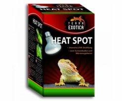 La lampada Heat Spot di Terra Exotica