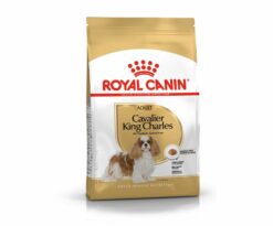 Alimento completo per cani Cavalier King Charles adulti e maturi - Oltre 10 mesi di età.