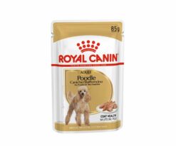 Morbido patè per cani adulti e maturi oltre 10 mesi di età royal canin barboncino. Alta qualità ed appetibilità