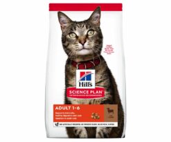 Hill's™ science plan™ adult cat food con agnello (4%) è un alimento completo per gatti adulti da 1 a 6 anni d'età.
