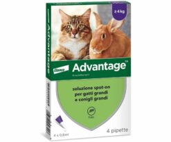 Advantage® soluzione spot-on per gatti piccoli e conigli piccoli.