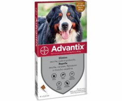 Advantix spot on per cani oltre 40 kg.