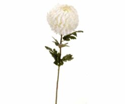 Crisantemo Ramo Cm 90x16 Bianco.